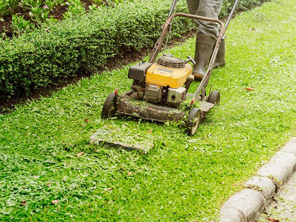 如何做好綠化工程后期的養(yǎng)護工作